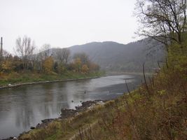 Vltava 7-u Vraného nad Vltavaou 4.11.05 (1).jpg